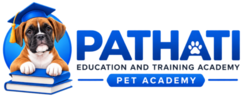 Pathati